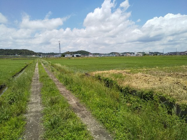【前面道路含む現地写真】 | 東金市田間　土地