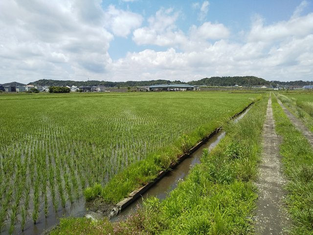 【展望】 | 東金市田間　土地