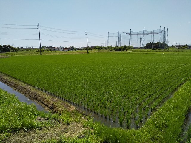 【前面道路含む現地写真】 | 東金市田間　土地