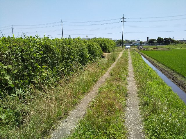【前面道路含む現地写真】 | 東金市田間　土地