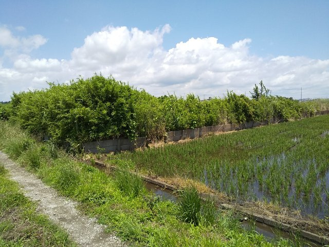 【前面道路含む現地写真】 | 東金市田間　土地