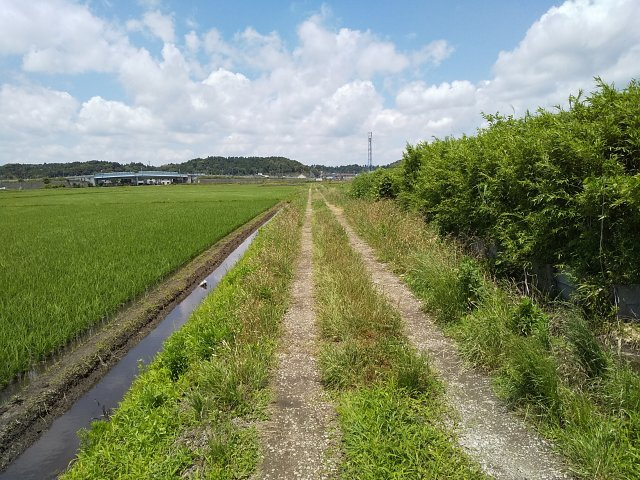 【前面道路含む現地写真】 | 東金市田間　土地