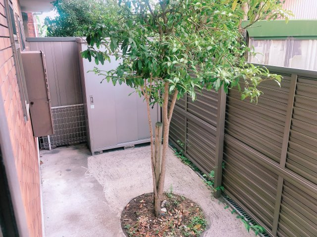 Geminiの庭