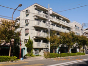 ピアニシオン・ブローニュクレストの画像