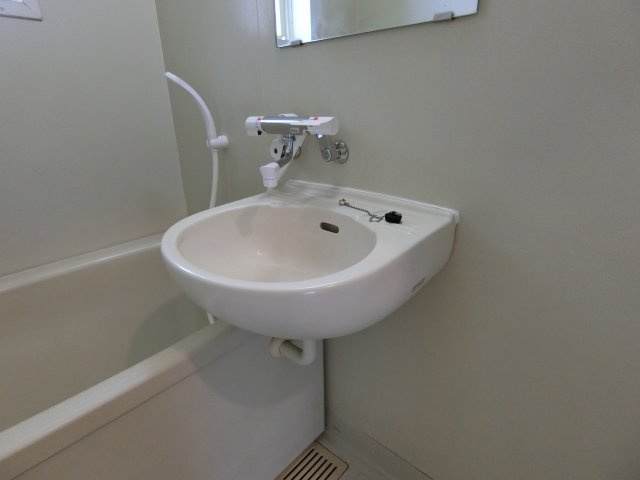 リバーサイドヒルズヤマダの洗面所