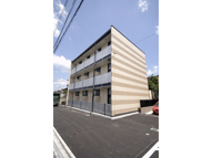 タチバナの画像