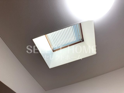  | ホワイトクラウドIV