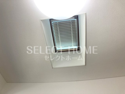  | ホワイトクラウドIV