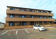 スターブルの画像