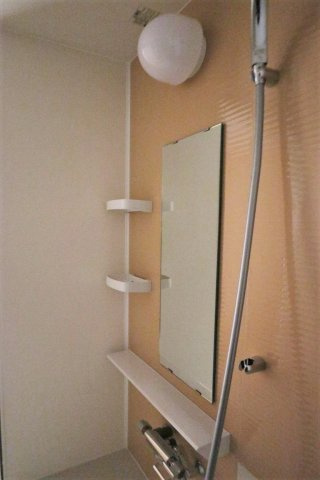 Forest Houseの浴室