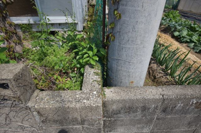 【外観】 | 五代町土地