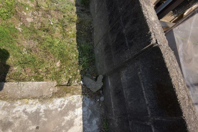 【その他】 | 五代町土地