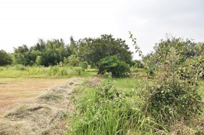 【その他】 | 御陵下町前田土地