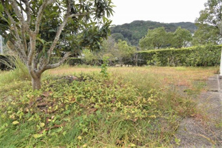 【外観】 | 田海町字五本松土地