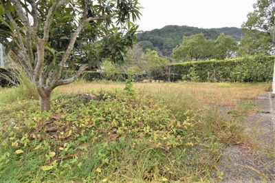 【外観】 | 田海町字五本松土地