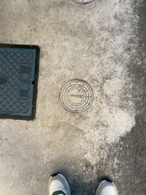 【その他】 | ソフィアフラット