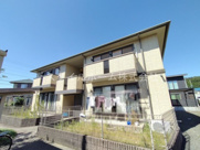 ウィルモア仙路の画像