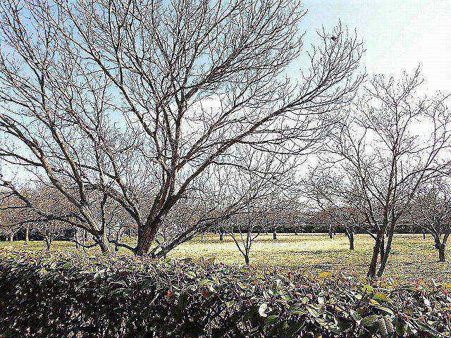 クレストの展望