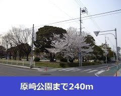 【周辺】 | ラ　クェッチ | 原崎公園まで240m