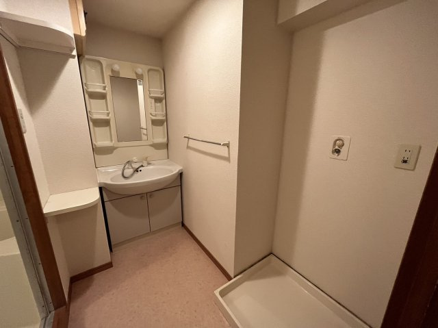 ピーチフローレⅡの洗面所