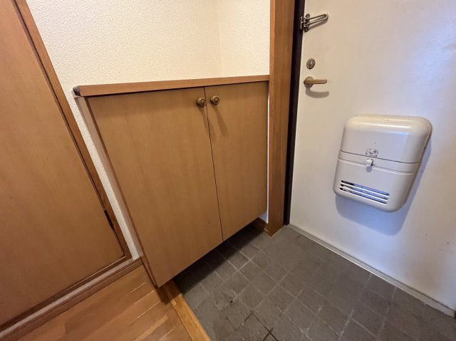 ピーチフローレⅡの玄関