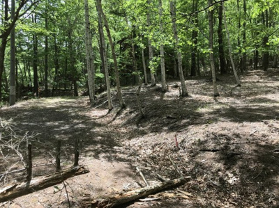 【前面道路含む現地写真】 | 白樺ハイランド別荘地２号地