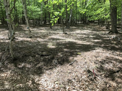 【外観】 | 白樺ハイランド別荘地２号地