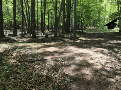 【前面道路含む現地写真】 | 白樺ハイランド別荘地２号地