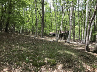 【外観】 | 白樺ハイランド別荘地２号地