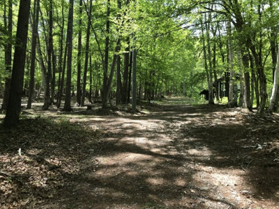 【前面道路含む現地写真】 | 白樺ハイランド別荘地２号地