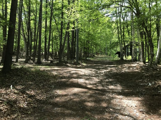 【前面道路含む現地写真】 | 白樺ハイランド別荘地２号地