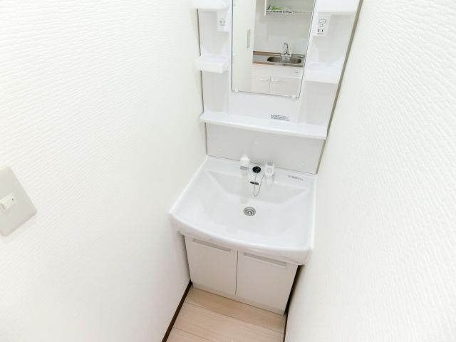 リヴァーサイド金剛の洗面所