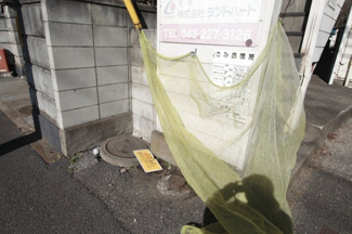 【その他共用部分】 | ごみ置き場は敷地内にございます♪