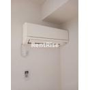 セブンスカトレアのその他