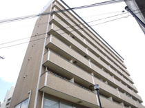 Celeb布施東の画像