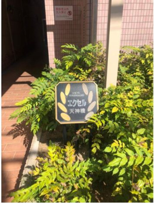 【エントランス】 | エクセル天神橋 | 緑のあしらいがあるエントランスです