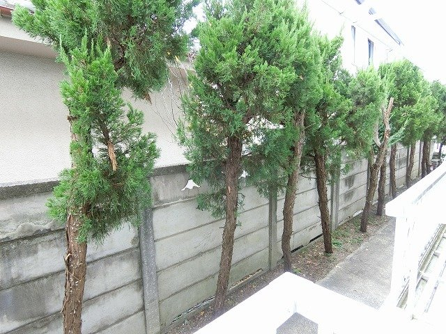 フレシールの展望
