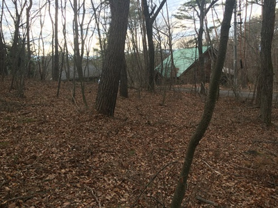 【外観】 | イトーピア小諸高原別荘地１１９