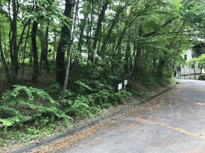 【前面道路含む現地写真】 | イトーピア小諸高原別荘地１１９