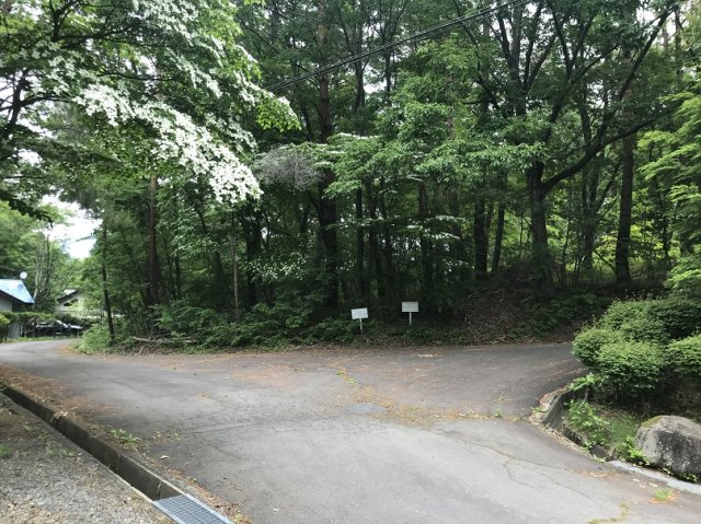 【前面道路含む現地写真】 | イトーピア小諸高原別荘地１１９