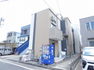 Globe amaranth庄内通の画像