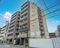 ディアレイシャス菊川の画像