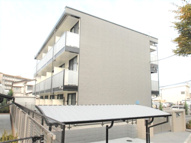 スナイプの画像