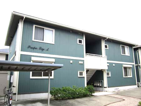 岸和田市磯上町３丁目のハイツの外観|外観もきれいです