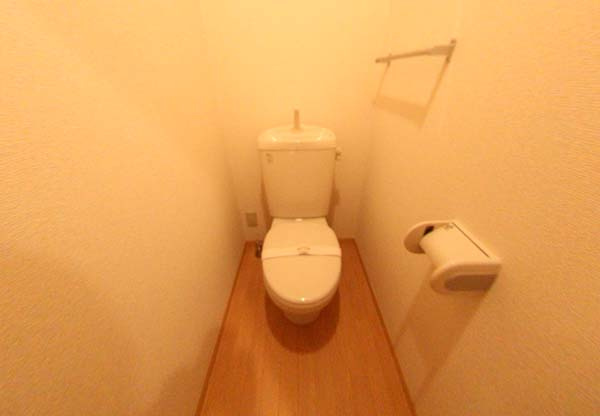 岸和田市磯上町３丁目のハイツのトイレ|トイレも気になるポイント