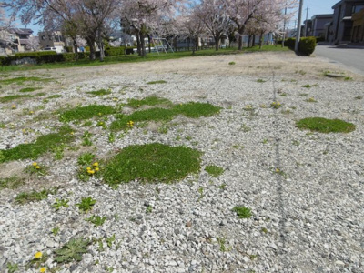 【外観】 | 平川市猿賀南野温泉権付き土地