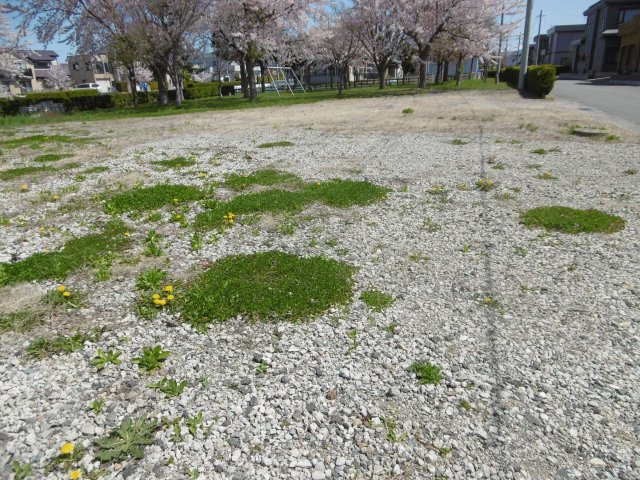 【外観】 | 平川市猿賀南野温泉権付き土地