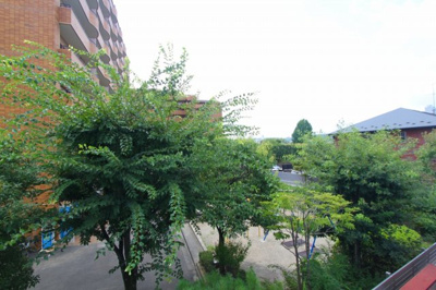 【展望】 | ライトハウス柏木