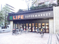 ライフ目黒大橋店まで441m