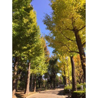 羽根木小緑地まで548m